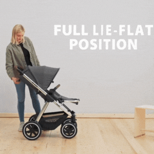 Carucior 2 in 1 pentru copii Samba